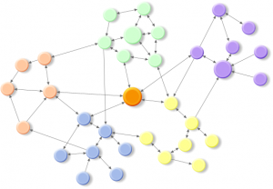 Organization as network